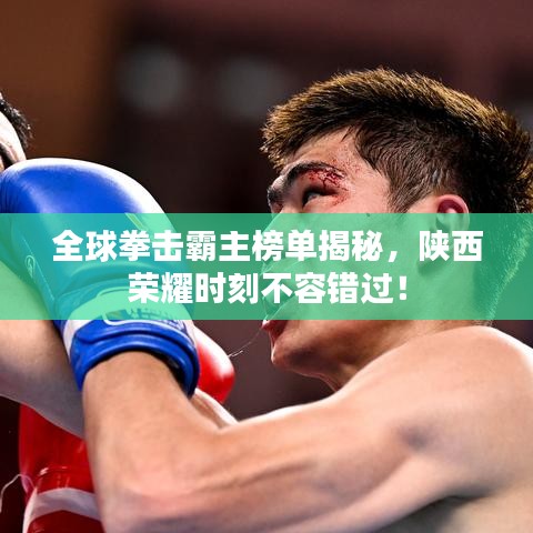 全球拳擊霸主榜單揭秘，陜西榮耀時(shí)刻不容錯(cuò)過！