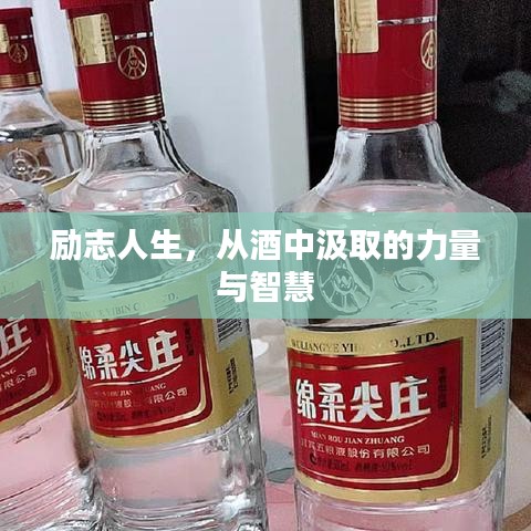 勵(lì)志人生，從酒中汲取的力量與智慧