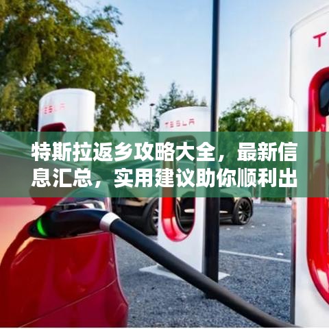 特斯拉返鄉(xiāng)攻略大全，最新信息匯總，實(shí)用建議助你順利出行