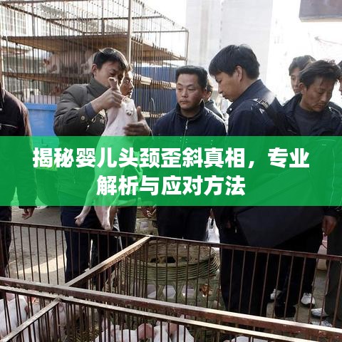 揭秘嬰兒頭頸歪斜真相，專業(yè)解析與應(yīng)對方法