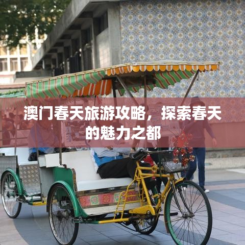 澳門(mén)春天旅游攻略，探索春天的魅力之都