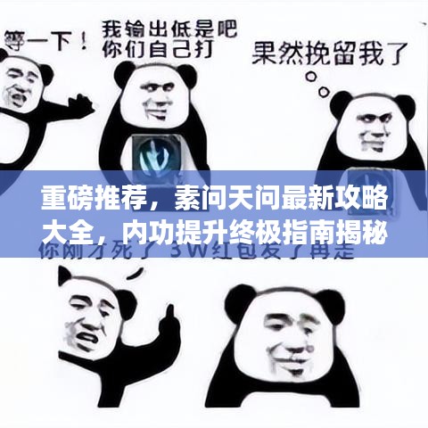 重磅推薦，素問(wèn)天問(wèn)最新攻略大全，內(nèi)功提升終極指南揭秘！