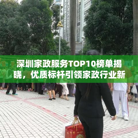 深圳家政服務(wù)TOP10榜單揭曉，優(yōu)質(zhì)標(biāo)桿引領(lǐng)家政行業(yè)新風(fēng)尚