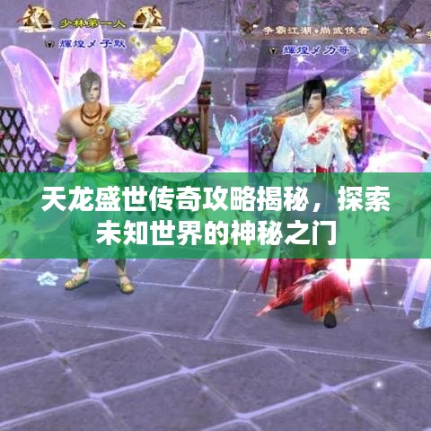 天龍盛世傳奇攻略揭秘，探索未知世界的神秘之門(mén)