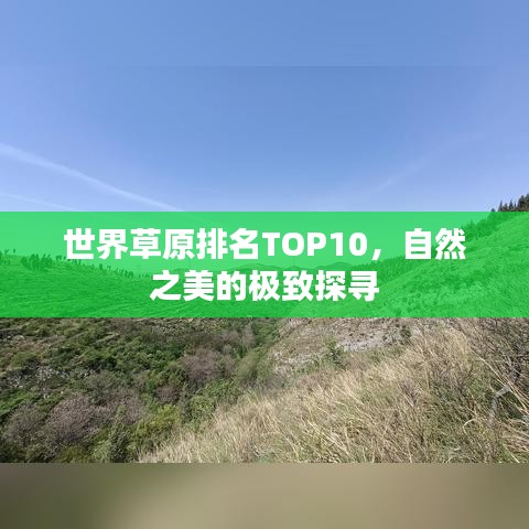 世界草原排名TOP10，自然之美的極致探尋