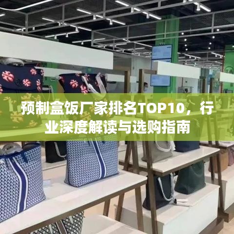 預制盒飯廠家排名TOP10，行業(yè)深度解讀與選購指南