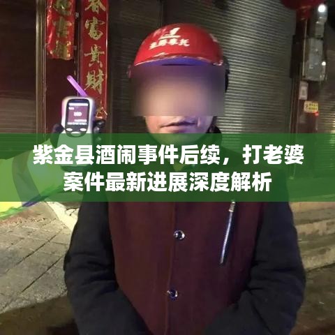 紫金縣酒鬧事件后續(xù)，打老婆案件最新進展深度解析