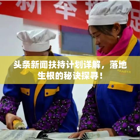 頭條新聞扶持計劃詳解，落地生根的秘訣探尋！