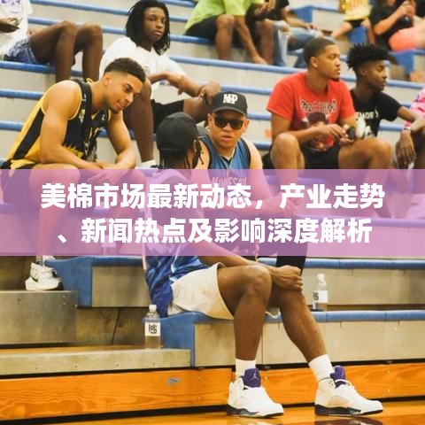 美棉市場(chǎng)最新動(dòng)態(tài)，產(chǎn)業(yè)走勢(shì)、新聞熱點(diǎn)及影響深度解析