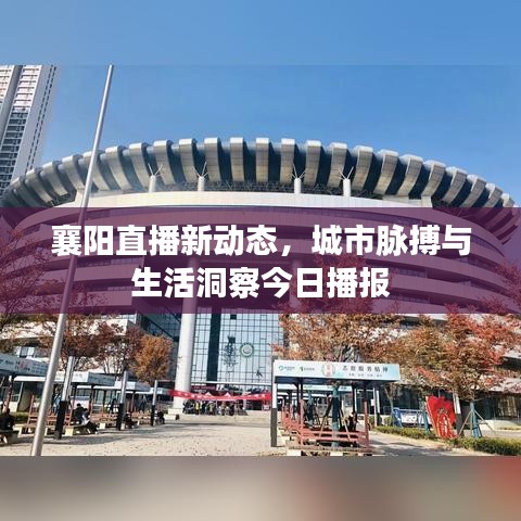 襄陽直播新動態(tài)，城市脈搏與生活洞察今日播報