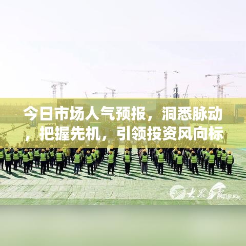 今日市場人氣預(yù)報，洞悉脈動，把握先機，引領(lǐng)投資風(fēng)向標