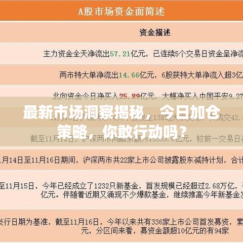 最新市場(chǎng)洞察揭秘，今日加倉(cāng)策略，你敢行動(dòng)嗎？