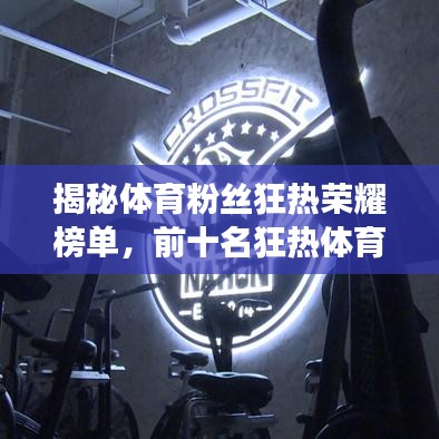 揭秘體育粉絲狂熱榮耀榜單，前十名狂熱體育迷的激情與榮耀展現(xiàn)！