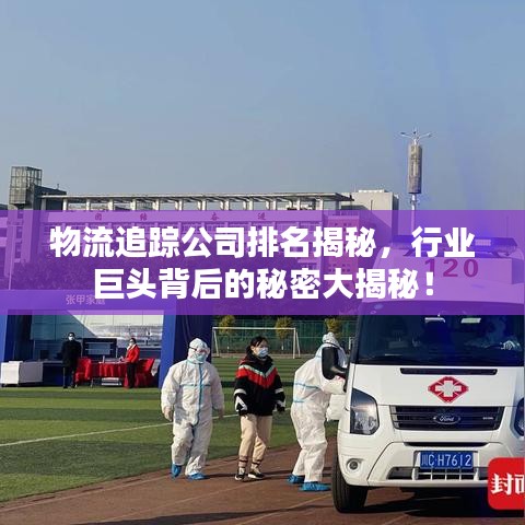 物流追蹤公司排名揭秘，行業(yè)巨頭背后的秘密大揭秘！