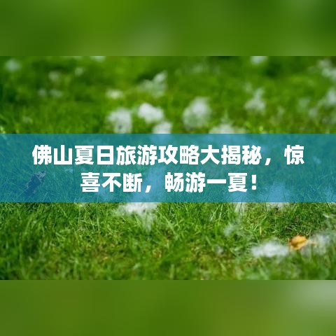 佛山夏日旅游攻略大揭秘，驚喜不斷，暢游一夏！