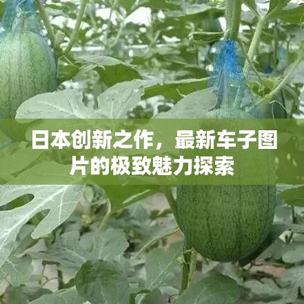 日本創(chuàng)新之作，最新車子圖片的極致魅力探索
