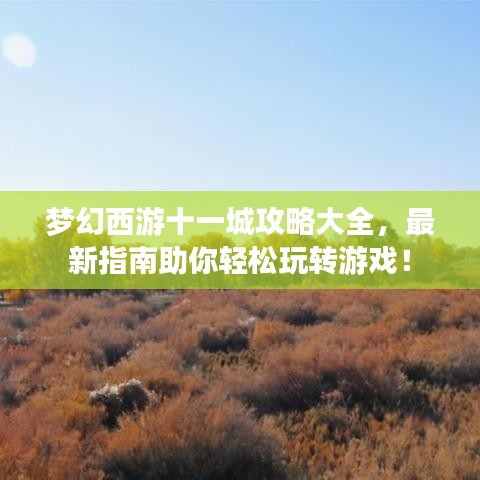 夢(mèng)幻西游十一城攻略大全，最新指南助你輕松玩轉(zhuǎn)游戲！