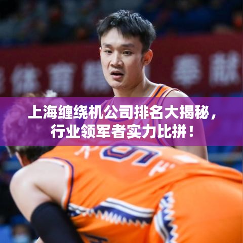 上海纏繞機(jī)公司排名大揭秘，行業(yè)領(lǐng)軍者實(shí)力比拼！