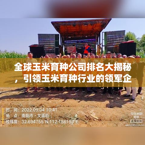 全球玉米育種公司排名大揭秘，引領(lǐng)玉米育種行業(yè)的領(lǐng)軍企業(yè)
