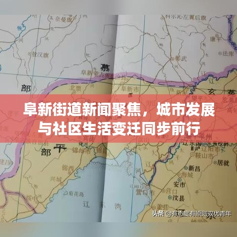 阜新街道新聞聚焦，城市發(fā)展與社區(qū)生活變遷同步前行