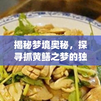 揭秘夢境奧秘，探尋抓黃鱔之夢的獨(dú)特解讀