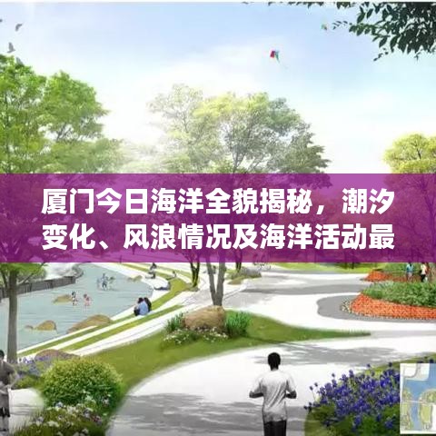 廈門今日海洋全貌揭秘，潮汐變化、風(fēng)浪情況及海洋活動最新消息