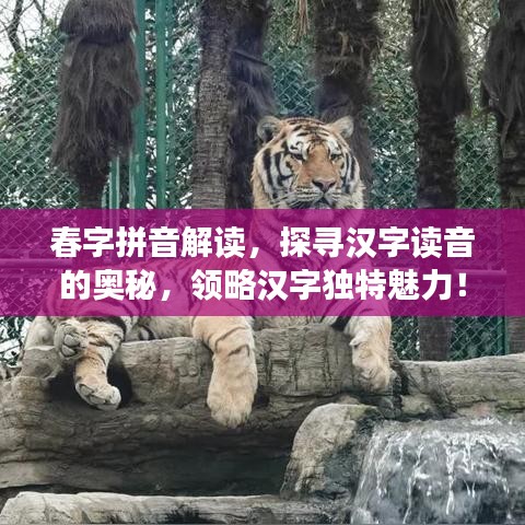 春字拼音解讀，探尋漢字讀音的奧秘，領(lǐng)略漢字獨(dú)特魅力！