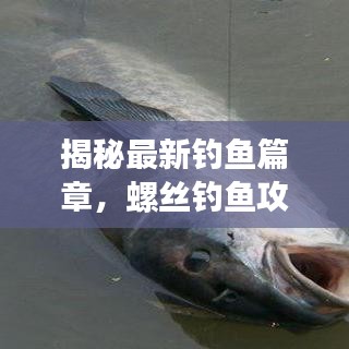 揭秘最新釣魚(yú)篇章，螺絲釣魚(yú)攻略大全，讓你輕松釣上大魚(yú)！