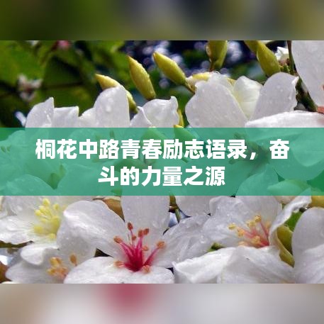 桐花中路青春勵志語錄，奮斗的力量之源