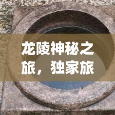 天羅地網(wǎng) 第3頁