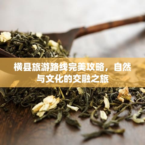 橫縣旅游路線完美攻略，自然與文化的交融之旅