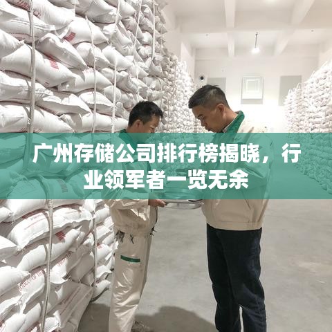 廣州存儲公司排行榜揭曉，行業(yè)領軍者一覽無余