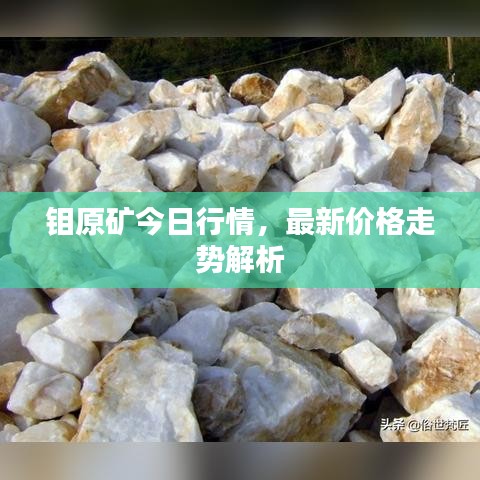 鉬原礦今日行情，最新價(jià)格走勢解析