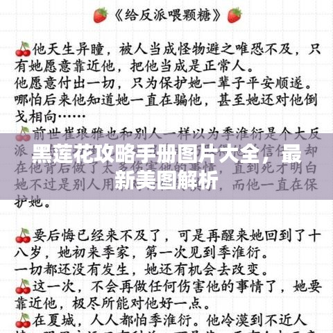 黑蓮花攻略手冊圖片大全，最新美圖解析