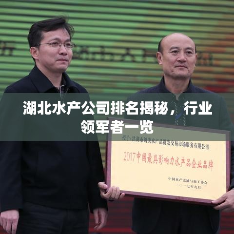湖北水產(chǎn)公司排名揭秘，行業(yè)領軍者一覽
