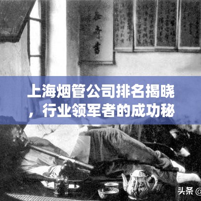 上海煙管公司排名揭曉，行業(yè)領(lǐng)軍者的成功秘訣探究