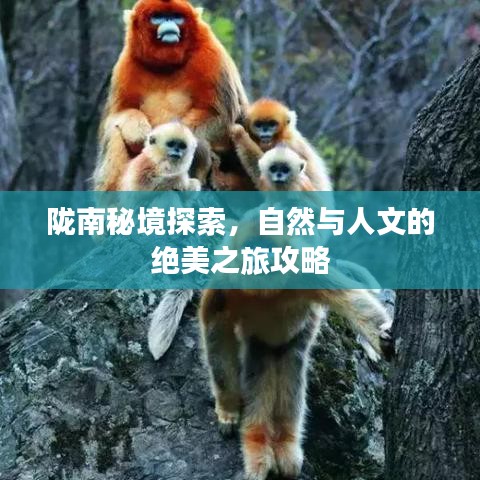 隴南秘境探索，自然與人文的絕美之旅攻略