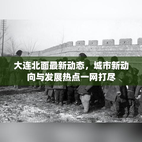 大連北面最新動態(tài)，城市新動向與發(fā)展熱點一網(wǎng)打盡