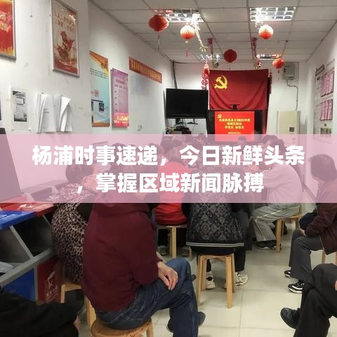 楊浦時事速遞，今日新鮮頭條，掌握區(qū)域新聞脈搏