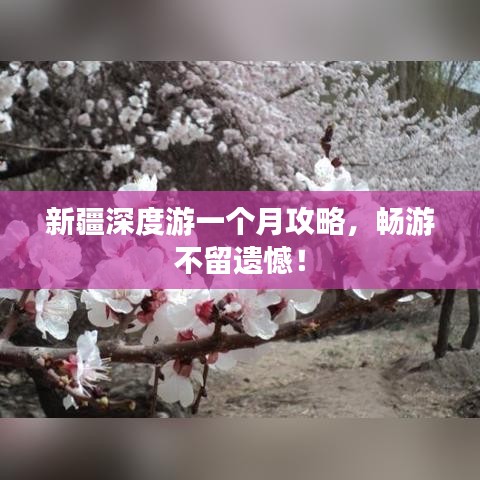新疆深度游一個(gè)月攻略，暢游不留遺憾！