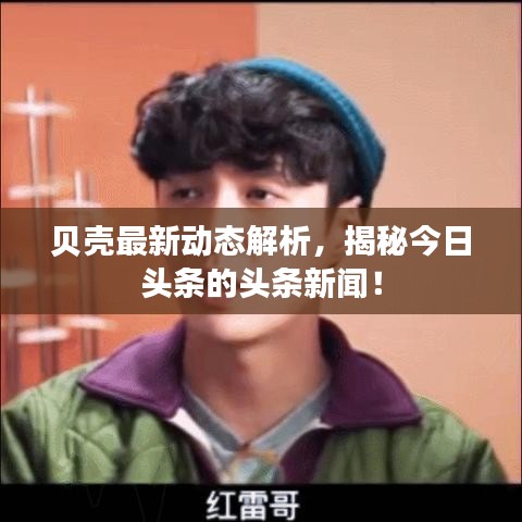 貝殼最新動態(tài)解析，揭秘今日頭條的頭條新聞！