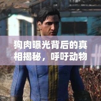 狗肉曝光背后的真相揭秘，呼吁動物保護(hù)意識的行動視頻匯總