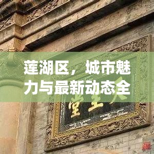 蓮湖區(qū)，城市魅力與最新動(dòng)態(tài)全揭秘
