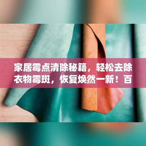 家居霉點清除秘籍，輕松去除衣物霉斑，恢復煥然一新！百度小百科為您解答！