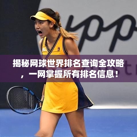 揭秘網(wǎng)球世界排名查詢?nèi)ヂ?，一網(wǎng)掌握所有排名信息！