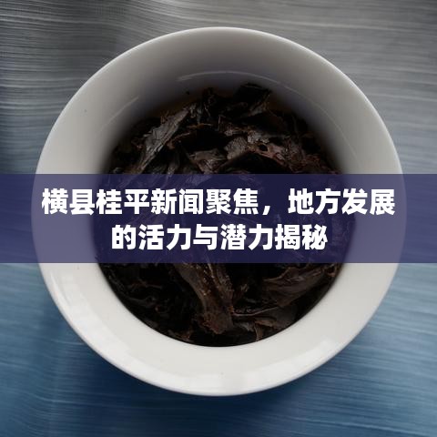 橫縣桂平新聞聚焦，地方發(fā)展的活力與潛力揭秘