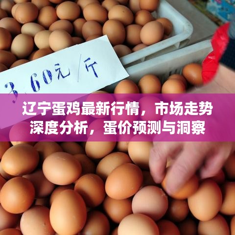 遼寧蛋雞最新行情，市場(chǎng)走勢(shì)深度分析，蛋價(jià)預(yù)測(cè)與洞察