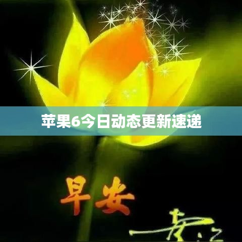 蘋果6今日動態(tài)更新速遞