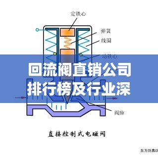 回流閥直銷公司排行榜及行業(yè)深度洞察