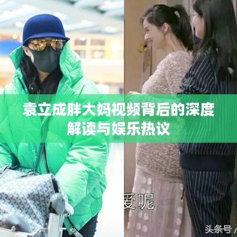 袁立成胖大媽視頻背后的深度解讀與娛樂熱議